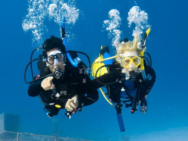  Buceo en pareja 